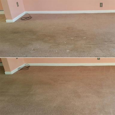 Before and After Deep Carpet Cleaning Service