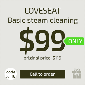 Loveseat cleaning coupon