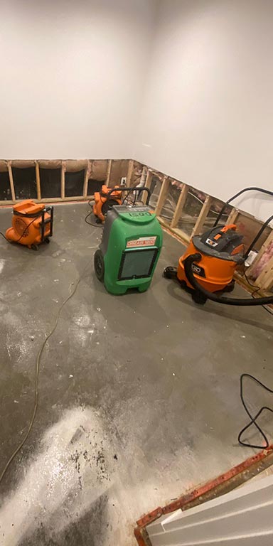 Residential Mold Removal in Hollywood, 33020 